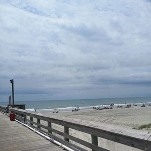 Meet your Posher, Carl